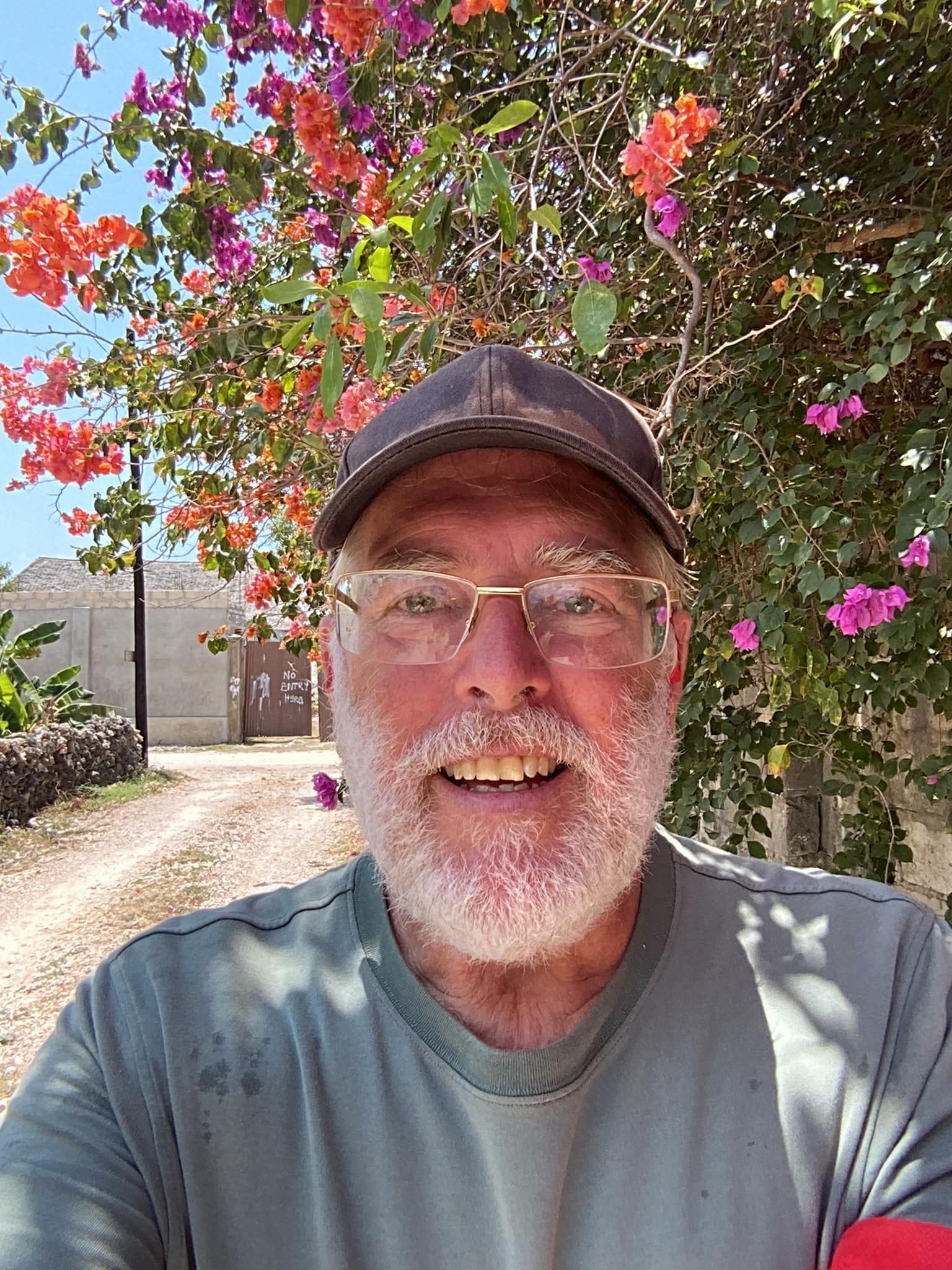 scott 81
